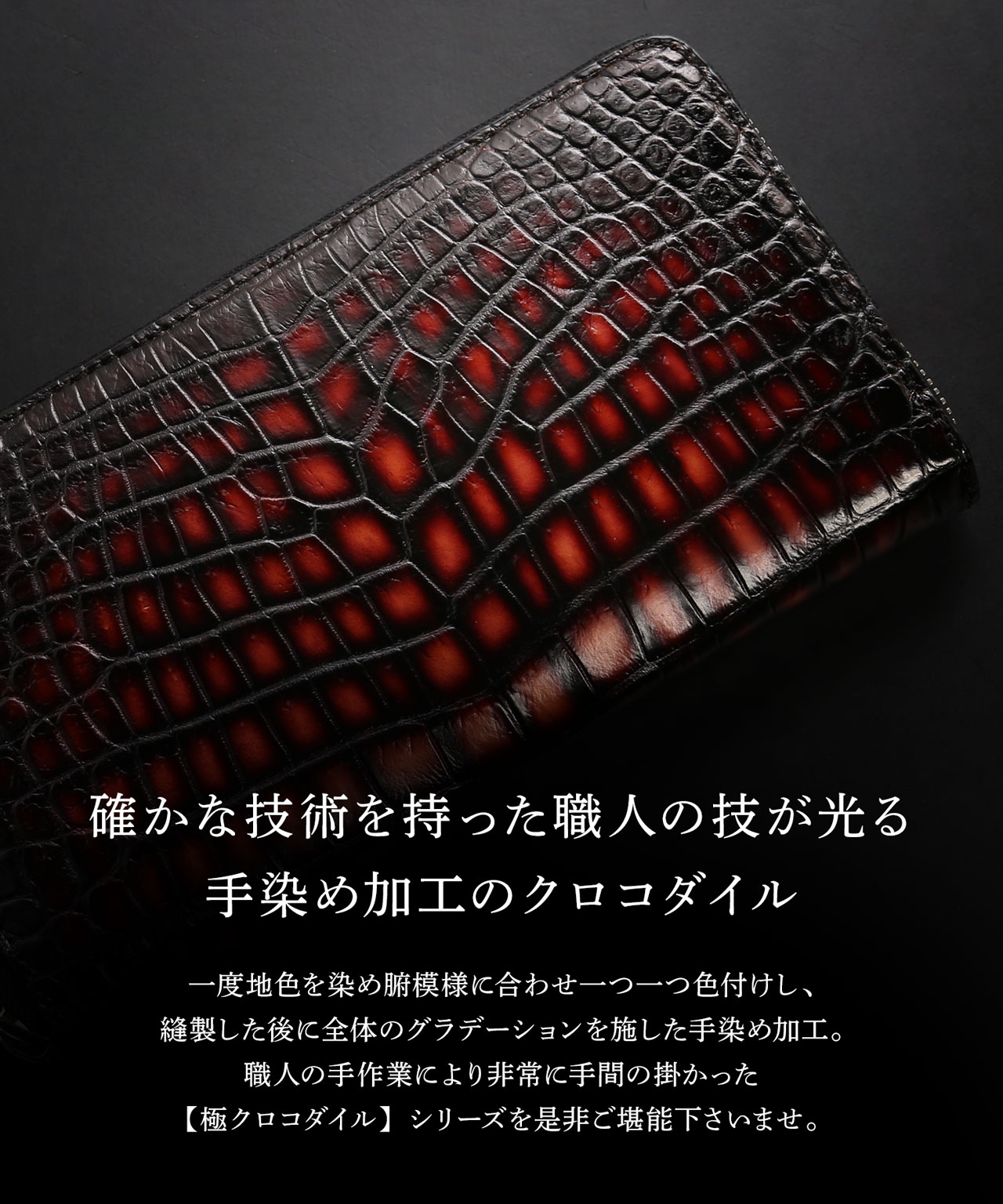 sankyo shokai（三京商会） ［10%OFFクーポン］クロコダイル ラウンド