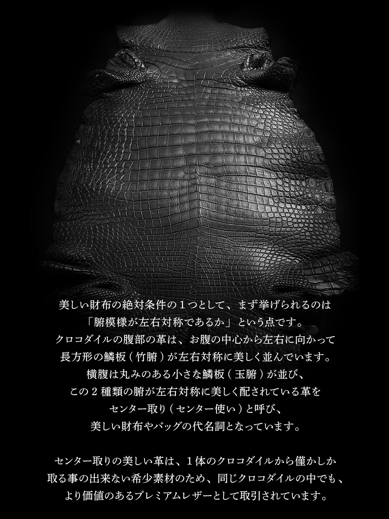 ［SALE］クロコダイル ラウンドファスナー 長財布 メンズ 父の日 極クロコダイル 地龍 一枚革 センター取り 手染め (06001865r)【爆買!!】の画像