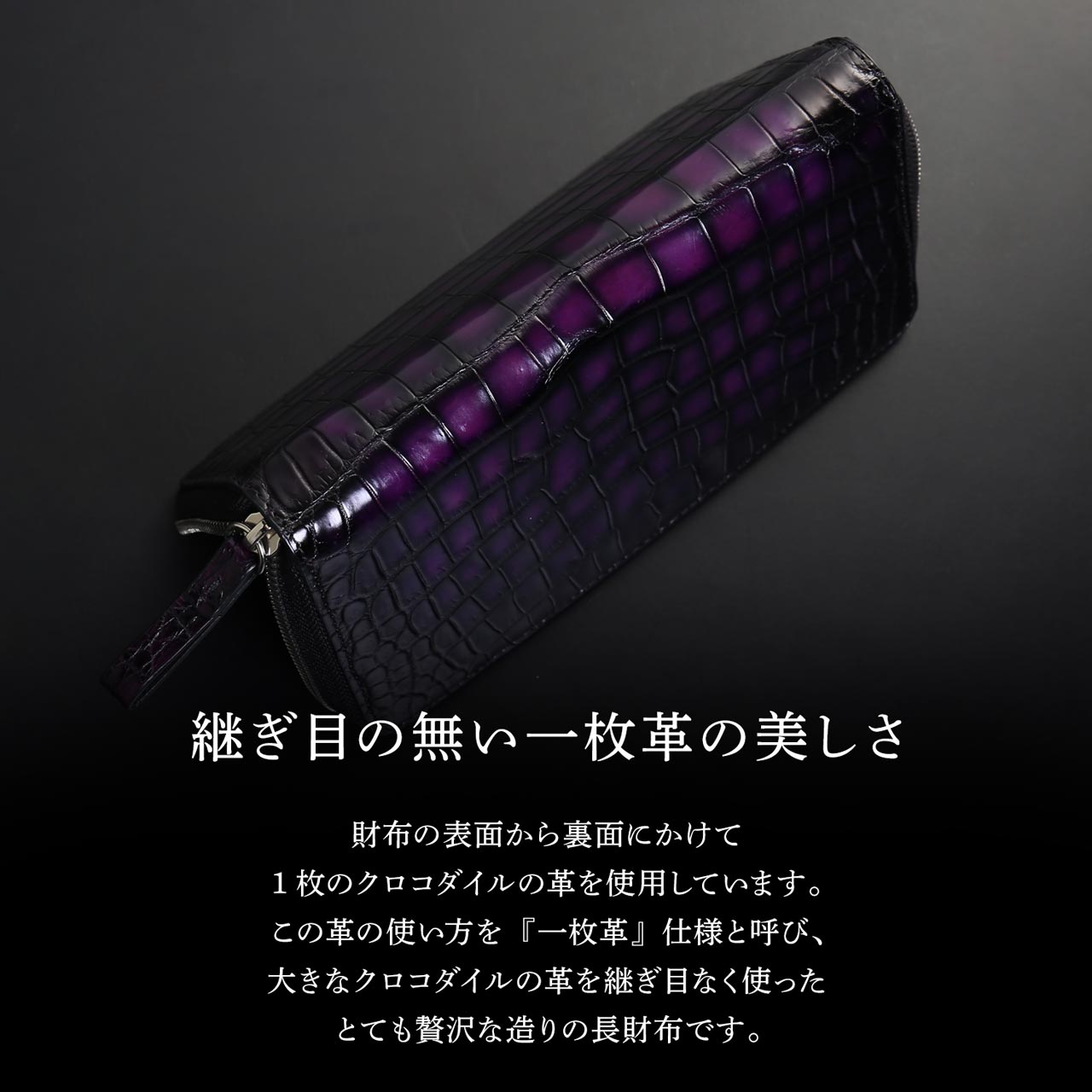 sankyo shokai（三京商会） [10%オフクーポン発行中]クロコダイル