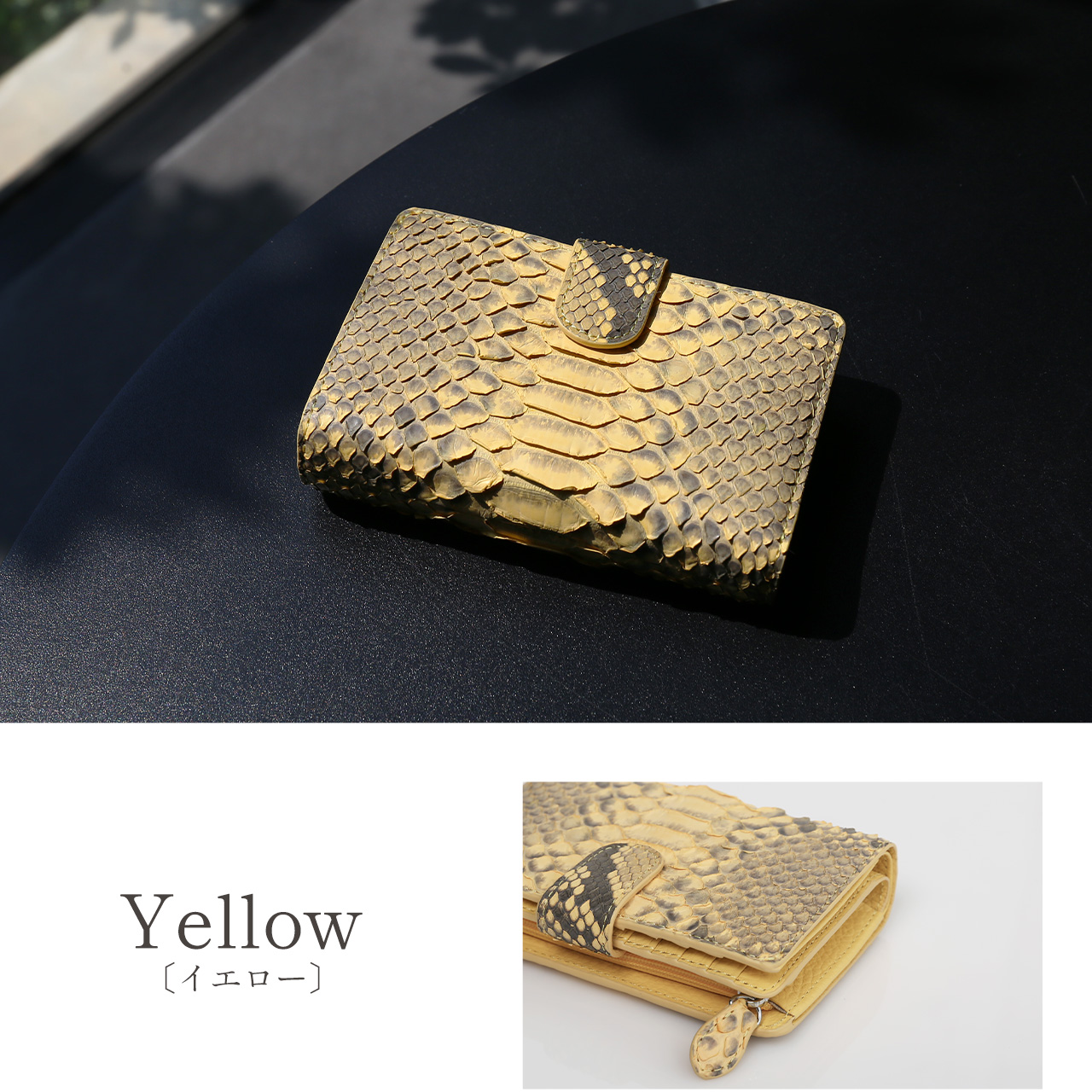 ダイアモンドパイソン財布　カラーバリエーション