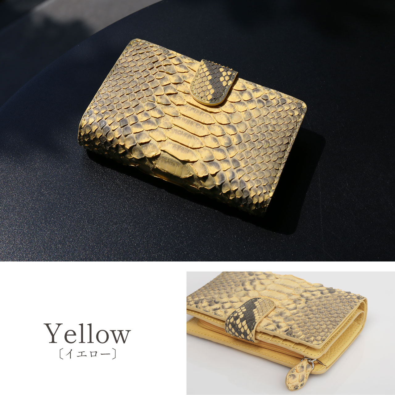 sankyo shokai（三京商会） [10%offクーポン]ダイヤモンド パイソン