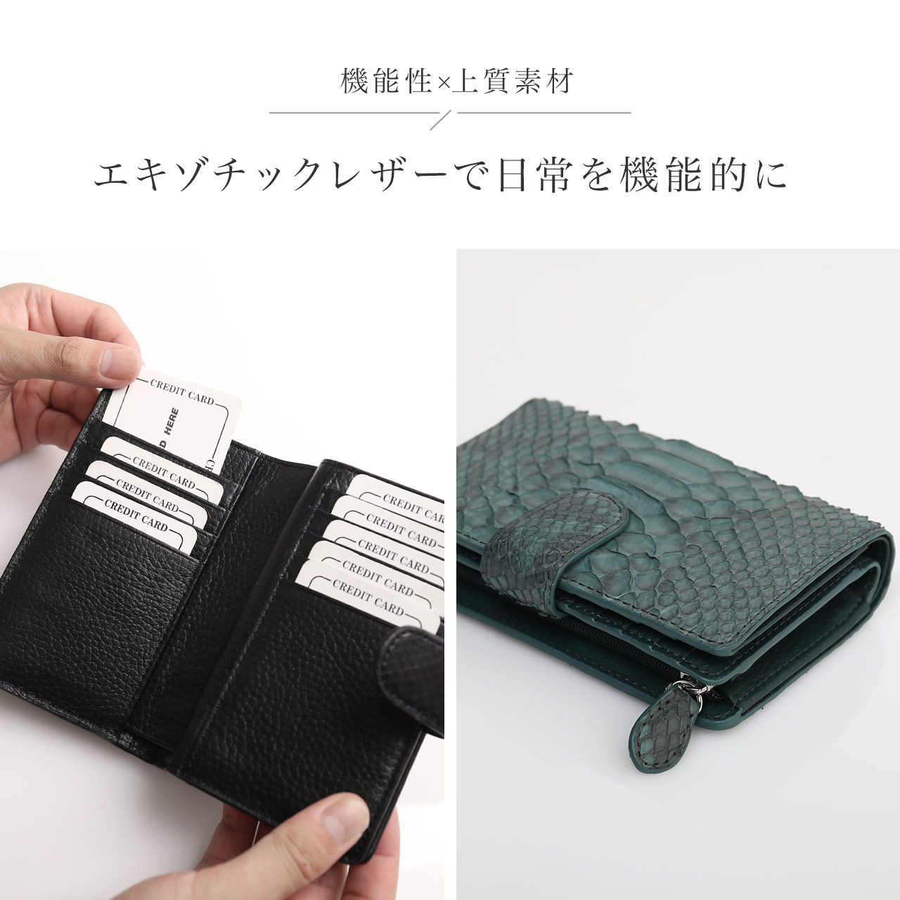 sankyo shokai（三京商会） [10%offクーポン]ダイヤモンド パイソン