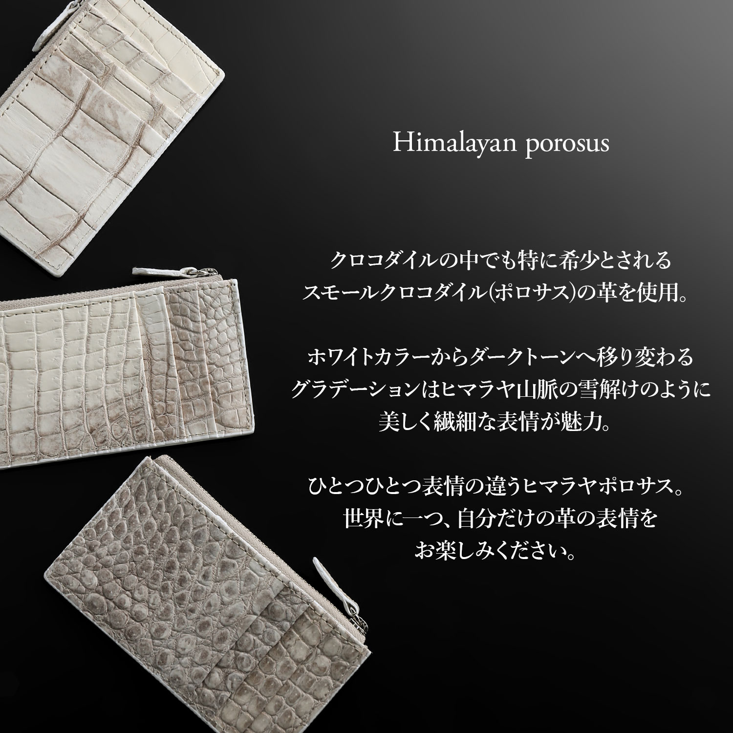 sankyo shokai（三京商会） スモールクロコダイル (ポロサス) カード