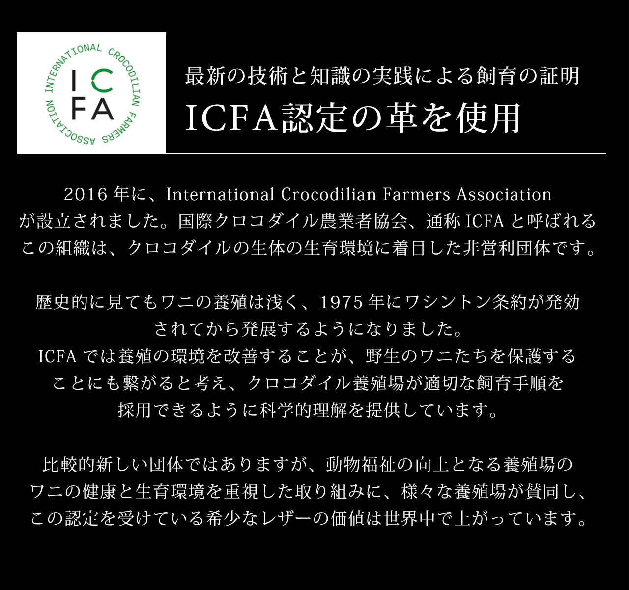 スモール クロコダイル 長財布 ラウンドファスナー 日本製 一枚革 ポロサス センター取り レディース ヌメ革 マット 加工 鰐革 保証書付(06001979r) 母の日の画像