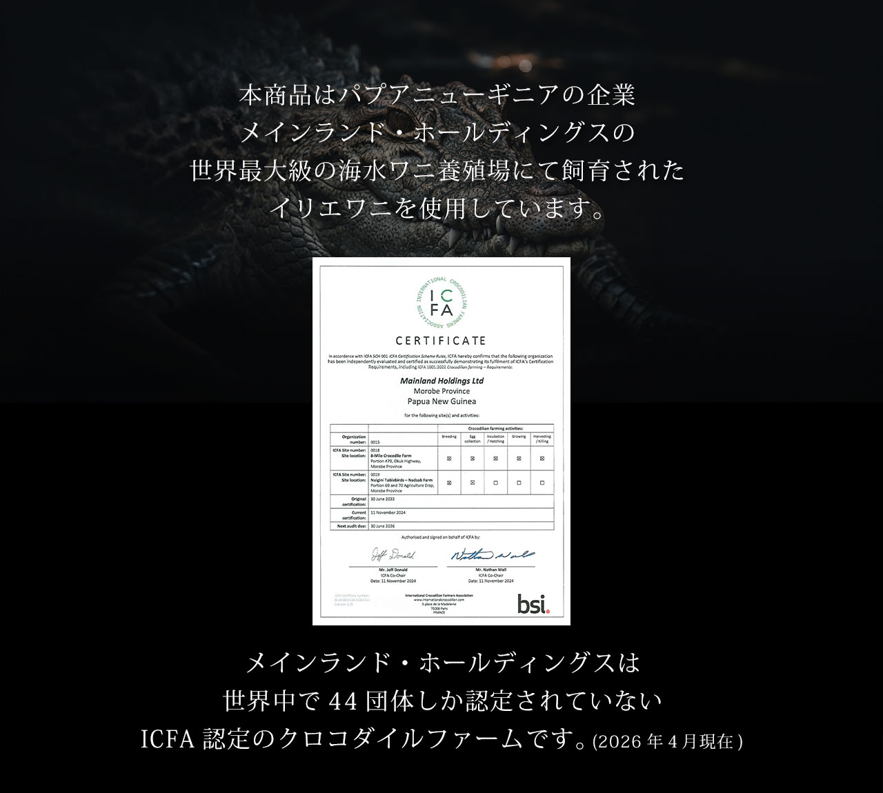 スモール クロコダイル 長財布 ラウンドファスナー 日本製 一枚革 ポロサス センター取り レディース ヌメ革 マット 加工 鰐革 保証書付(06001979r) 母の日の画像