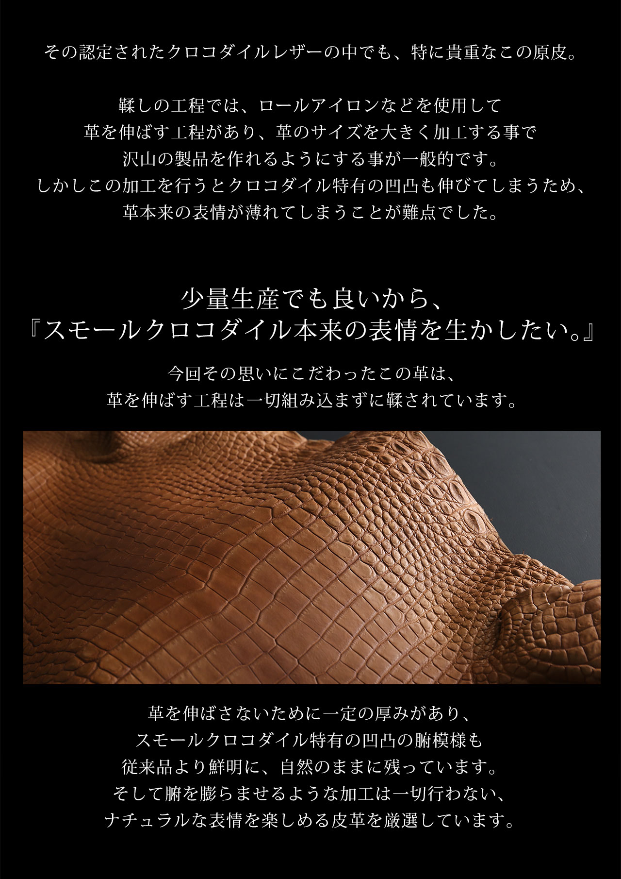 スモール クロコダイル 長財布 ラウンドファスナー 日本製 一枚革 ポロサス センター取り レディース ヌメ革 マット 加工 鰐革 保証書付(06001979r) 母の日の画像