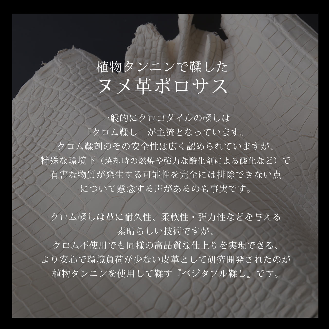 スモール クロコダイル 長財布 ラウンドファスナー 日本製 一枚革 ポロサス センター取り レディース ヌメ革 マット 加工 鰐革 保証書付(06001979r) 母の日の画像