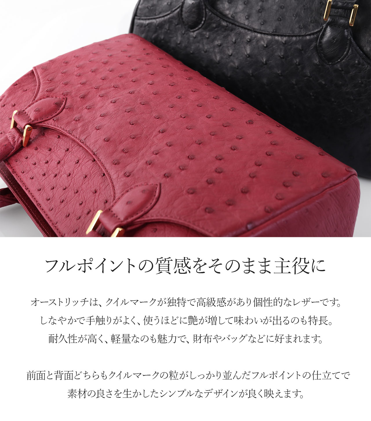 オーストリッチ ハンドバッグ 本革 レザー 高級 バッグ クラインカルー 