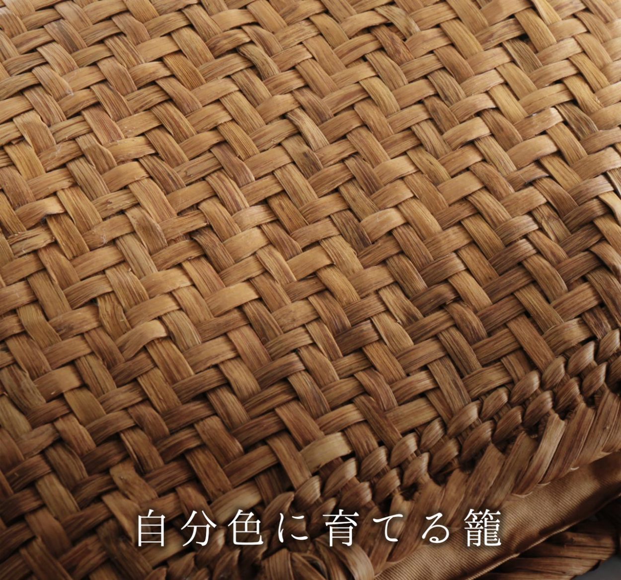 珊瑚緒締　極上根付印籠　50g 東Y7-0715⭐︎2Fトコカコ sankyo shokai 山葡萄 かごバッグ レディース 網代編み 天然素材