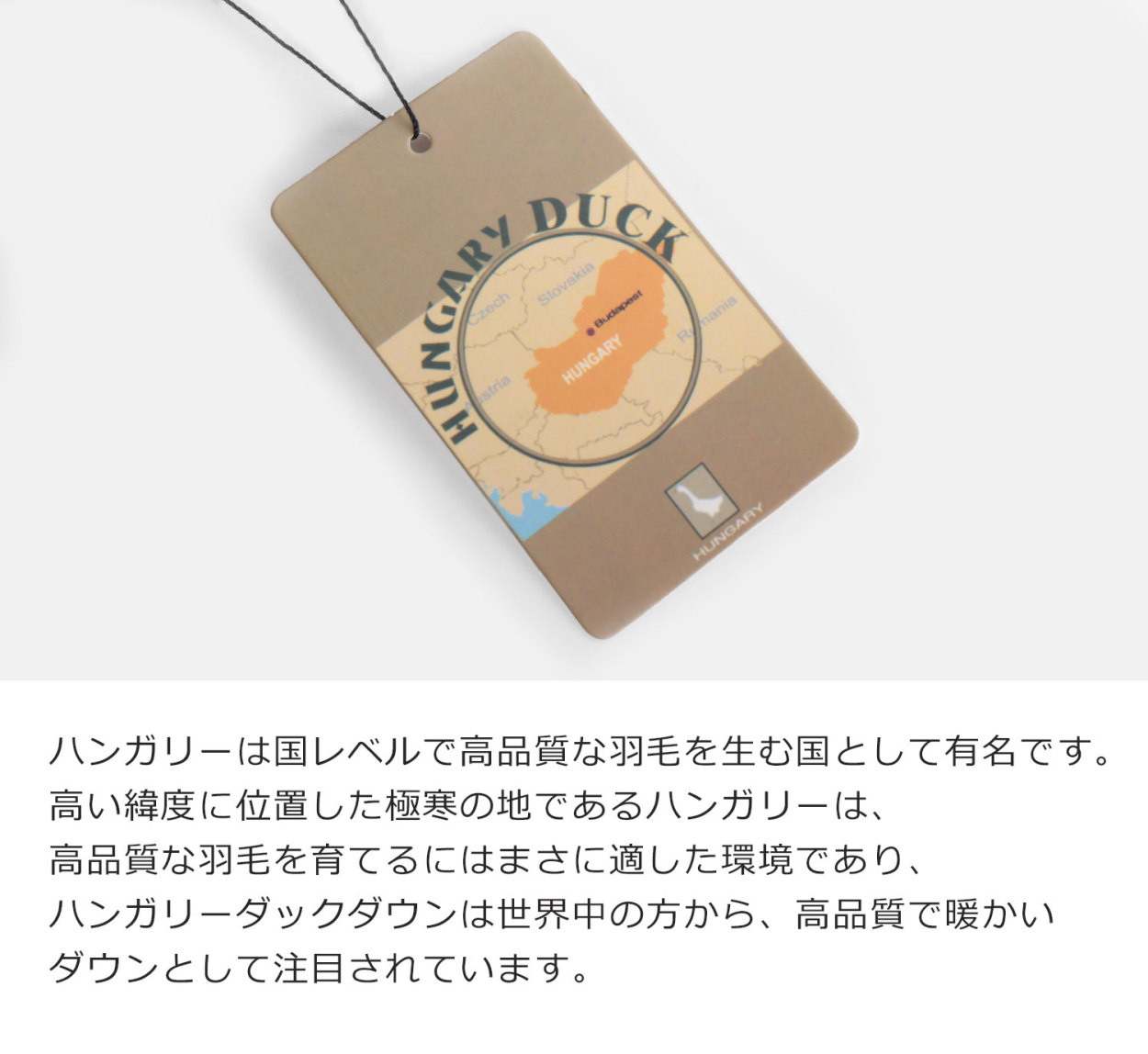 ダウンコート レディース ハンガリーダウン 洗える コクーン シルエット Filomo 洗える (08000239r)