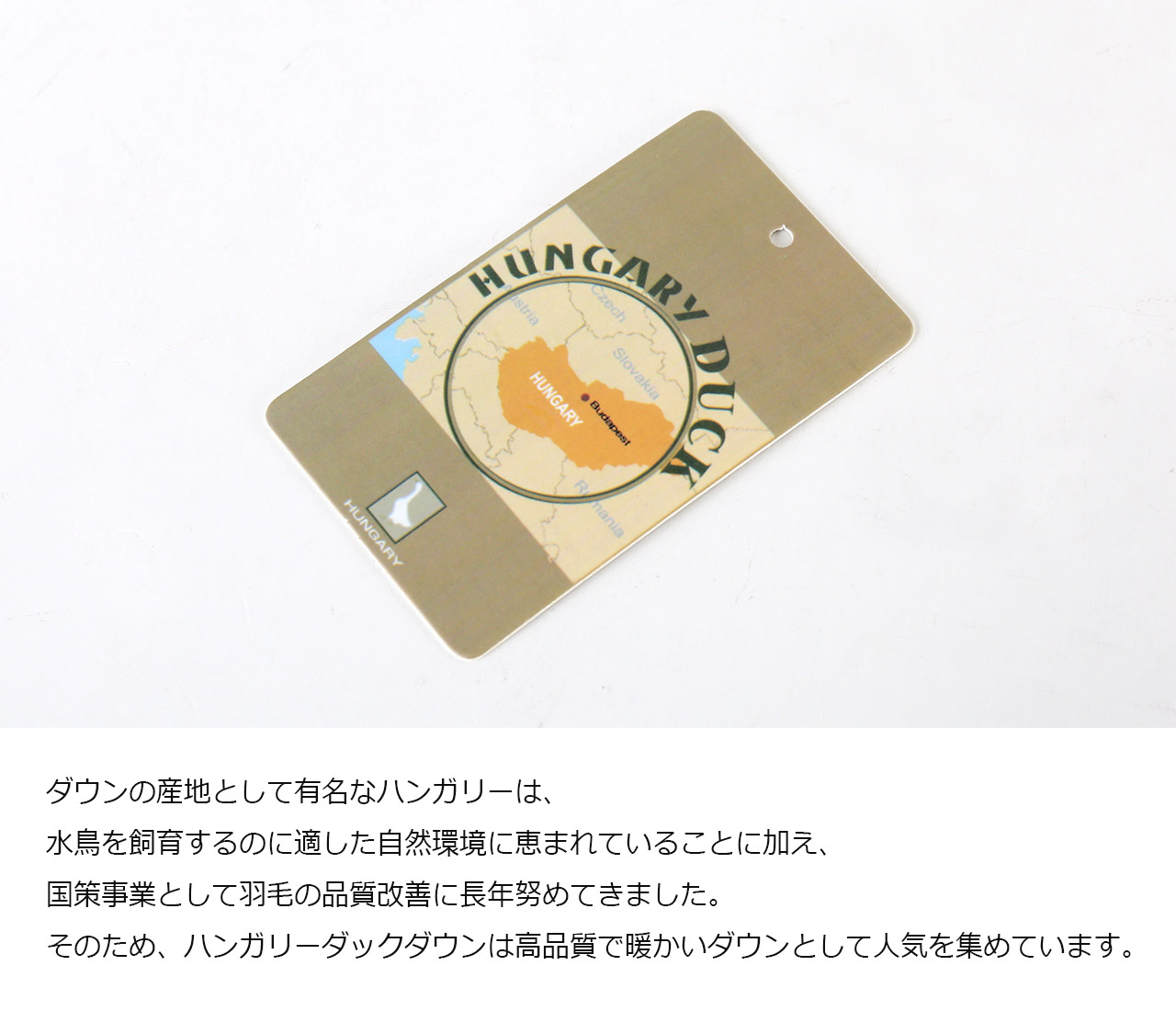 Filomo（フィローモ） ［10%OFFクーポン］ダウンコート フード付き 