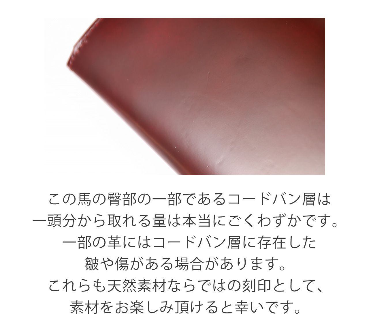 doob London（ドゥーブロンドン） 長財布 メンズ コードバン ラウンド