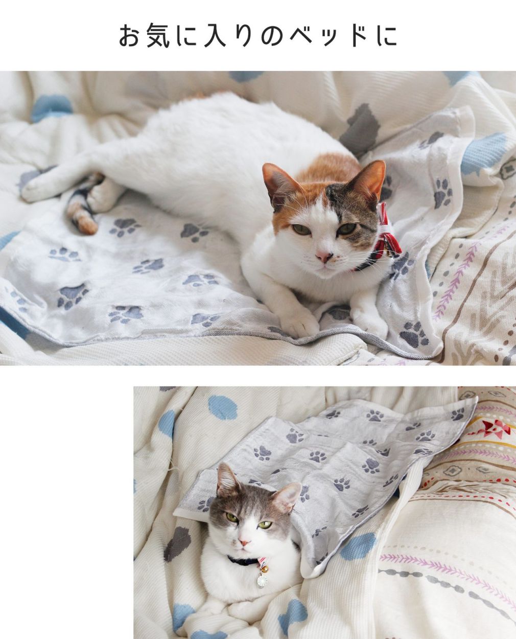 ペット 接触冷感 ひんやり 犬 猫