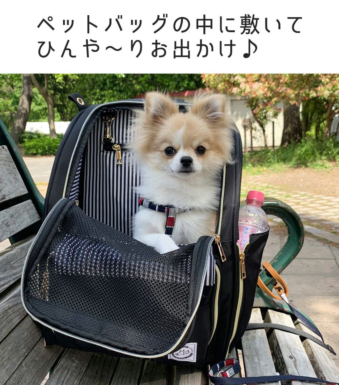 ペット 接触冷感 ひんやり 犬 猫