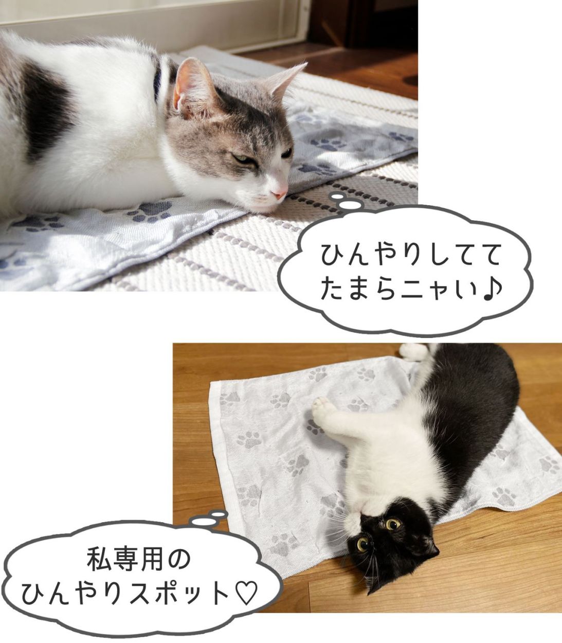 クーポン対象］日本製 ペット 冷感マット 犬 猫 柔らかい ガーゼタイプ