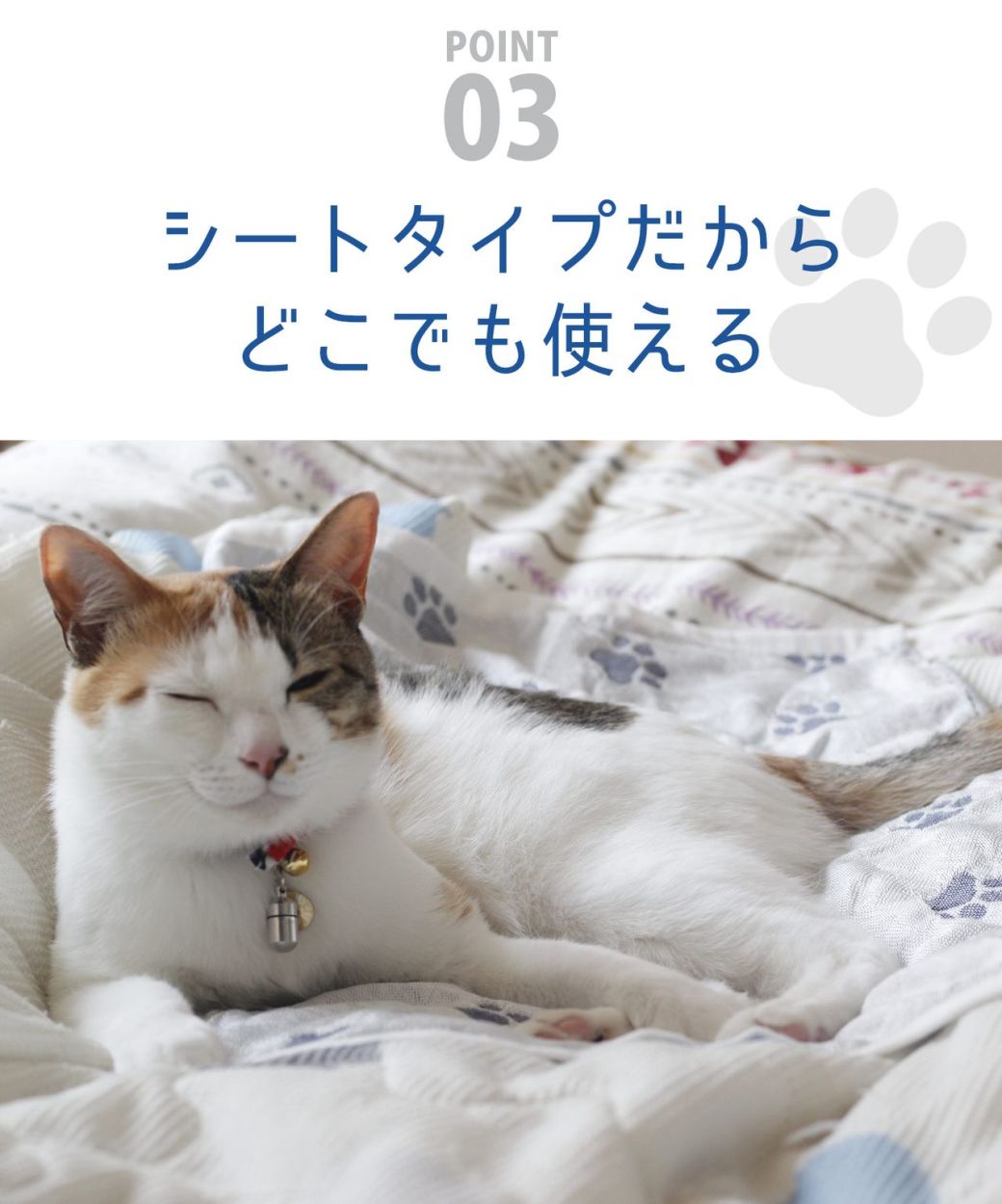 ペット 接触冷感 ひんやり 犬 猫