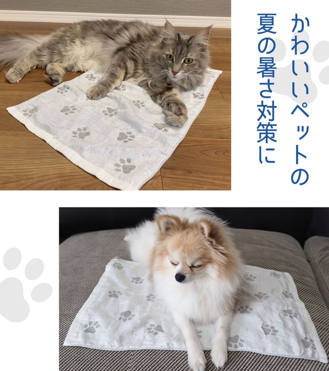 ペット 接触冷感 ひんやり 犬 猫