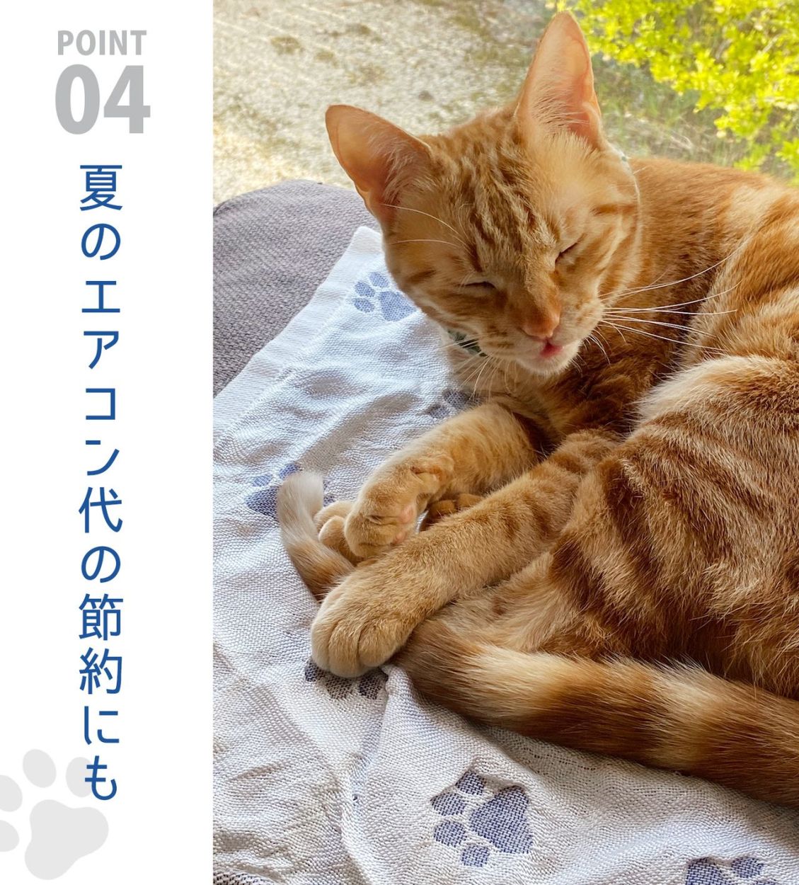 ペット 接触冷感 ひんやり 犬 猫