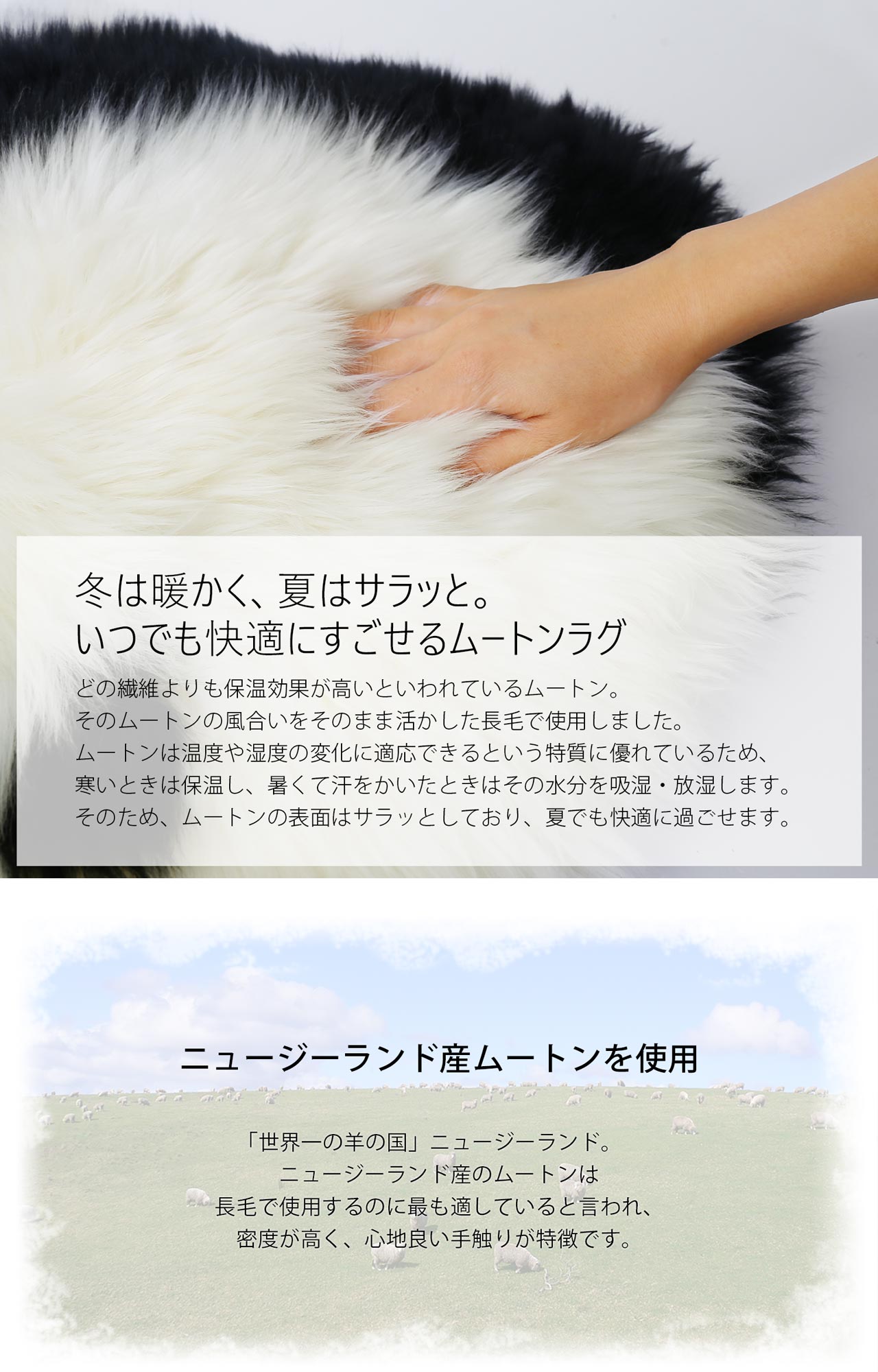 sankyo shokai ムートン パンダ ラグ クッション 座布団 オール