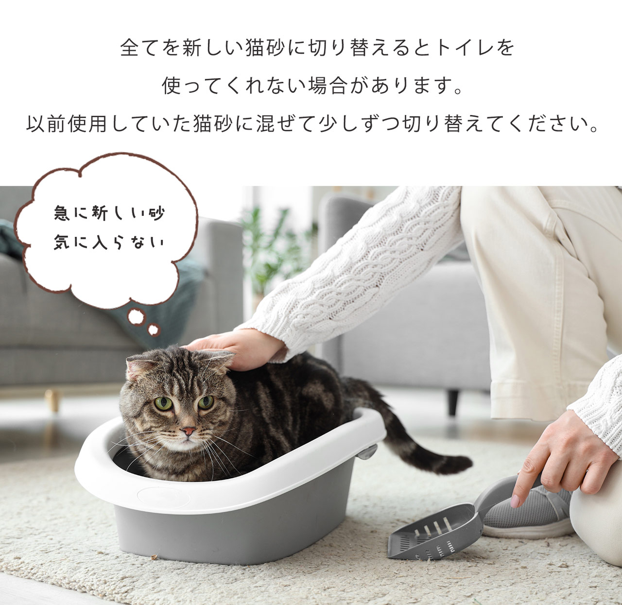 猫砂 健康チェック おから 5個セット 天然素材 ph おしっこチェック 流せる 固まる 軽い 消臭 ネコノスナPRO 5L 猫用 軽量 無香料 (09000675-set-1r)の画像
