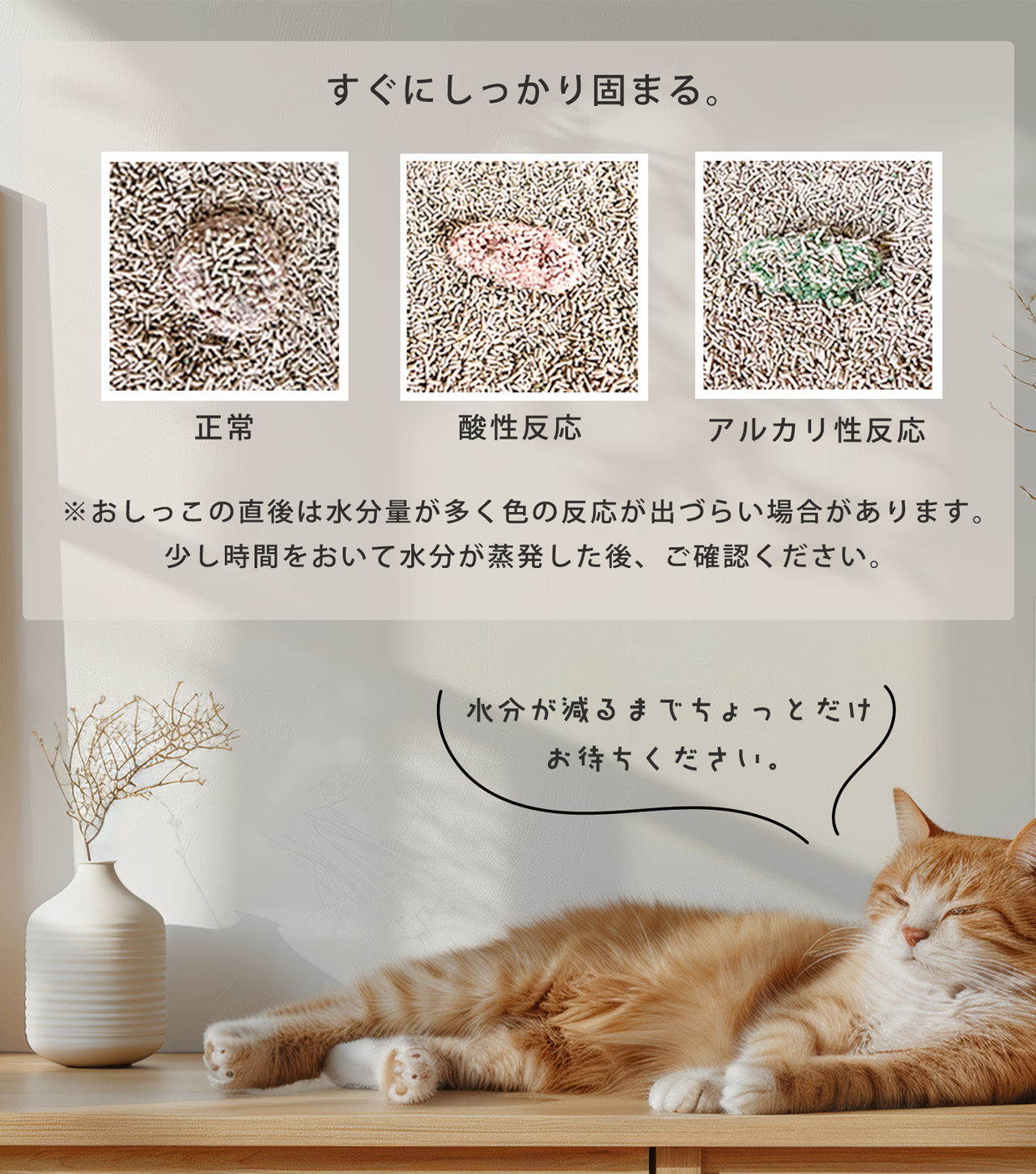 猫砂 健康チェック おから 5個セット 天然素材 ph おしっこチェック 流せる 固まる 軽い 消臭 ネコノスナPRO 5L 猫用 軽量 無香料 (09000675-set-1r)の画像