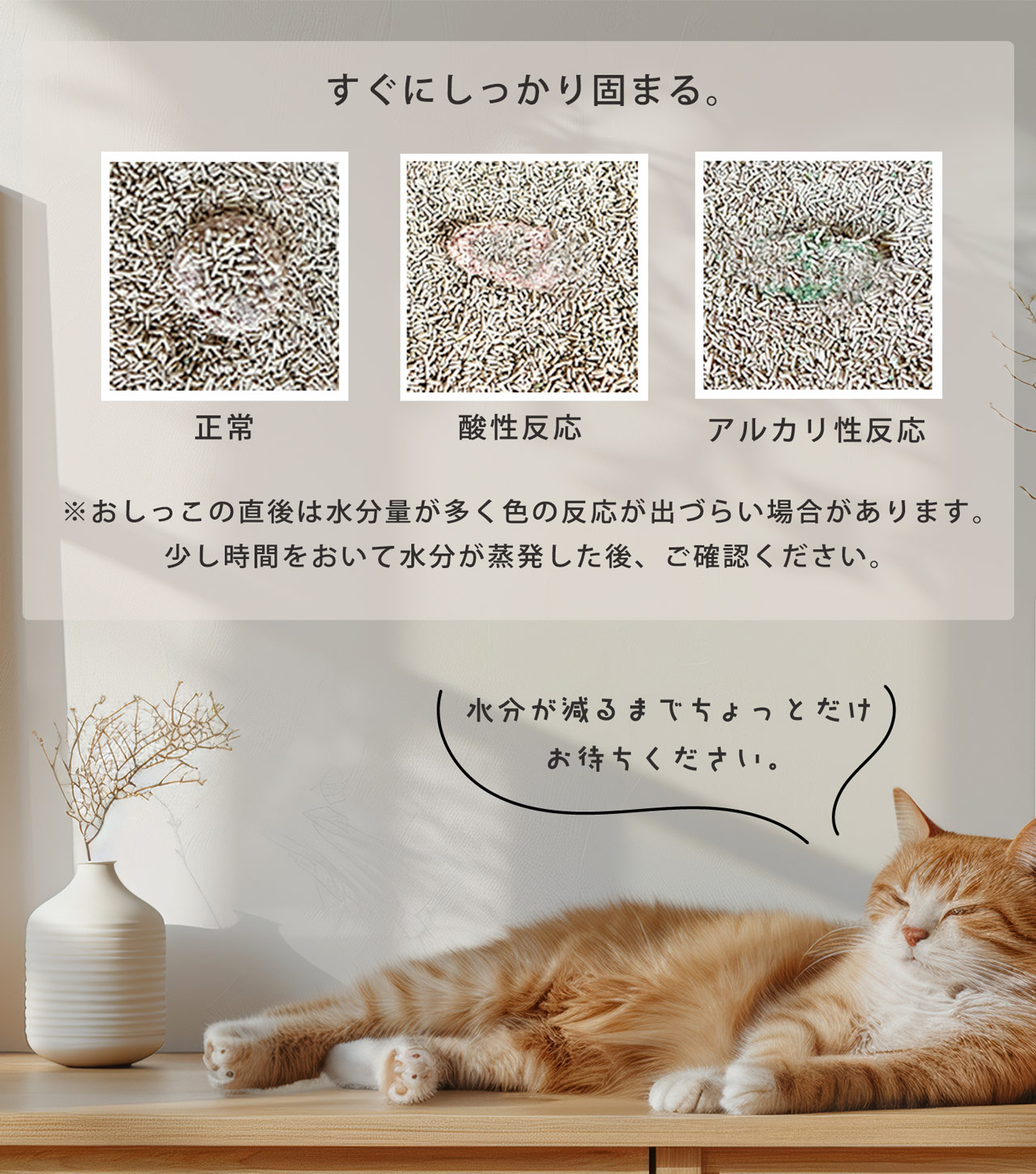 猫砂 健康チェック おから 5個セット 天然素材 ph おしっこチェック 流せる 固まる 軽い 猫トイレ 燃えるゴミ 猫用 軽量 無香料 (09000676-set-1r)の画像
