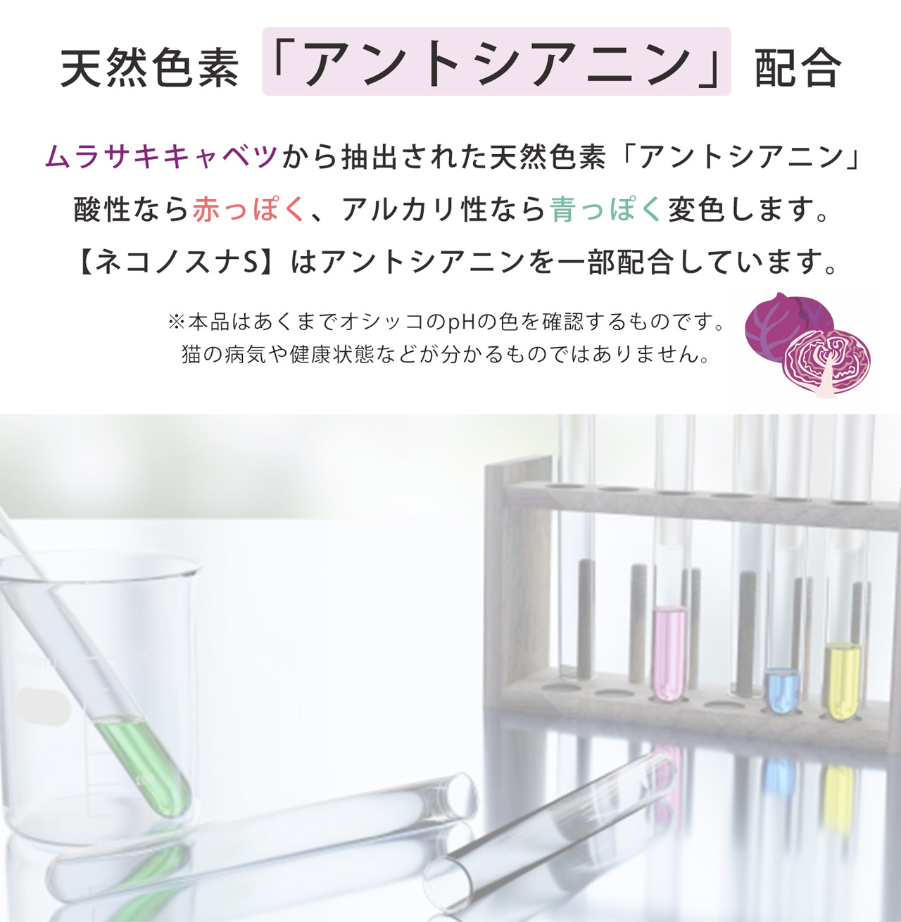 猫砂 健康チェック おから 5個セット 天然素材 ph おしっこチェック 流せる 固まる 軽い 猫トイレ 燃えるゴミ 猫用 軽量 無香料 (09000676-set-1r)の画像