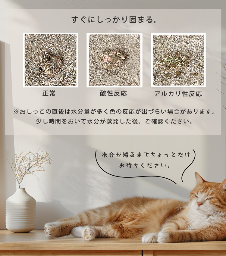猫砂 健康チェック ベントナイト 天然素材 ph おしっこチェック 固まる 消臭 脱臭率99% ネコノスナC 5L 猫トイレ 猫用 無香料 (09000677r) | sankyo shokai | 07