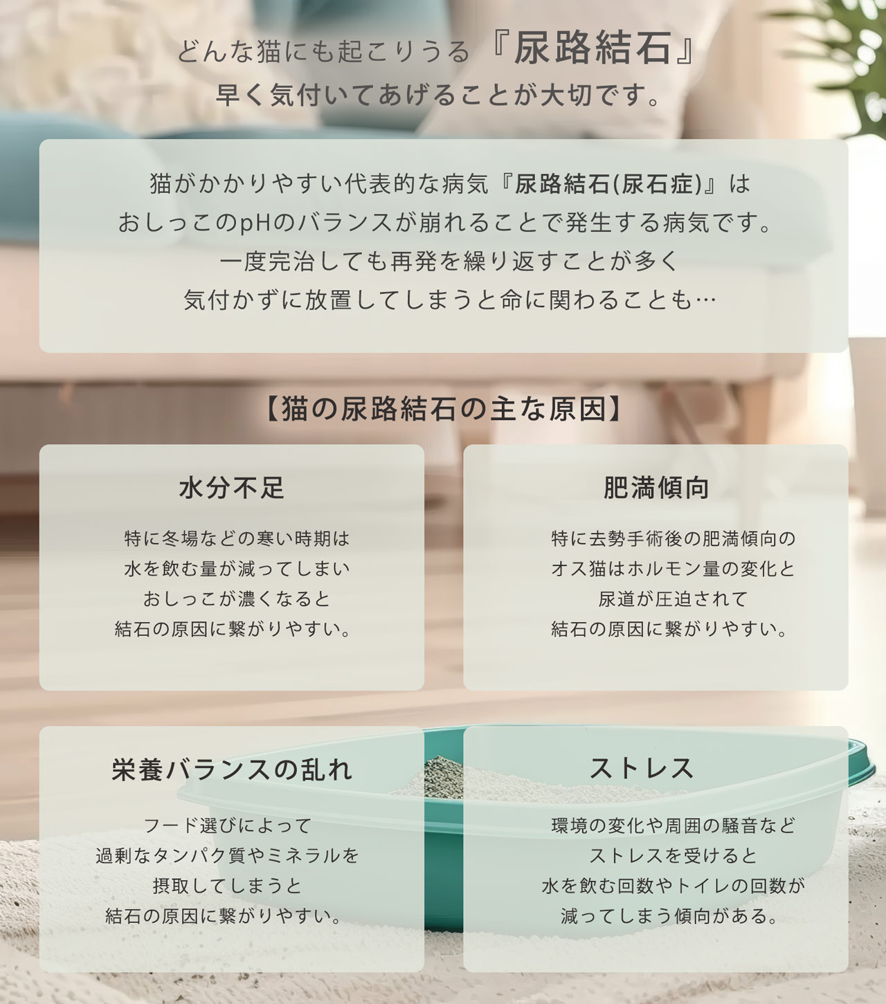 猫砂 健康チェック ベントナイト 天然素材 ph おしっこチェック 固まる 消臭 脱臭率99% ネコノスナC 5L 猫トイレ 猫用 無香料 (09000677r) | sankyo shokai | 02