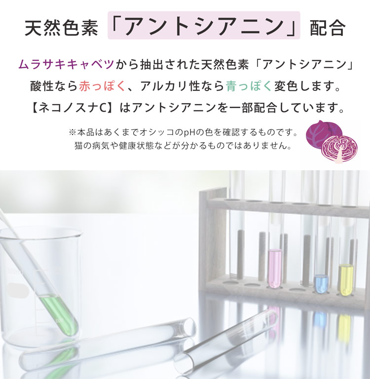 猫砂 健康チェック ベントナイト 天然素材 ph おしっこチェック 固まる 消臭 脱臭率99% ネコノスナC 5L 猫トイレ 猫用 無香料 (09000677r) | sankyo shokai | 06