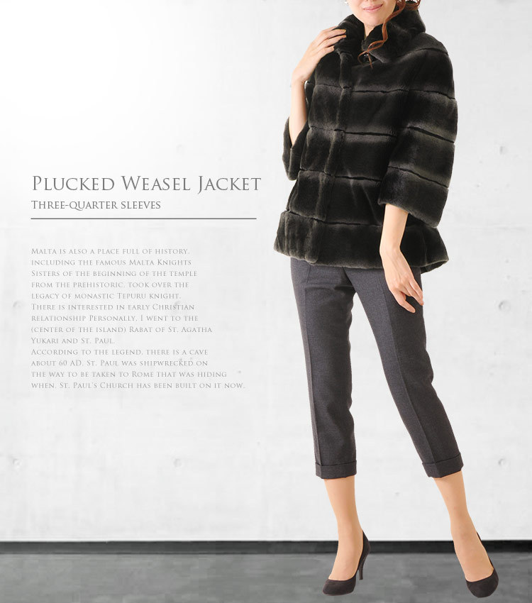 sankyo shokai（三京商会） [5%offクーポン発行中]プラクト ウィーゼル