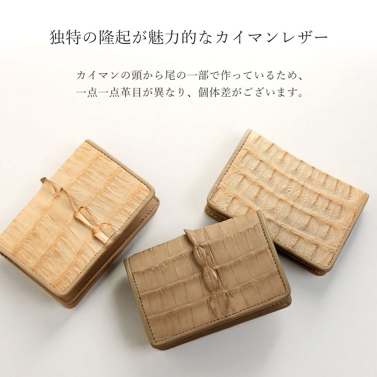 sankyo shokai（三京商会） [10%offクーポン発行中]カイマン 名刺入れ