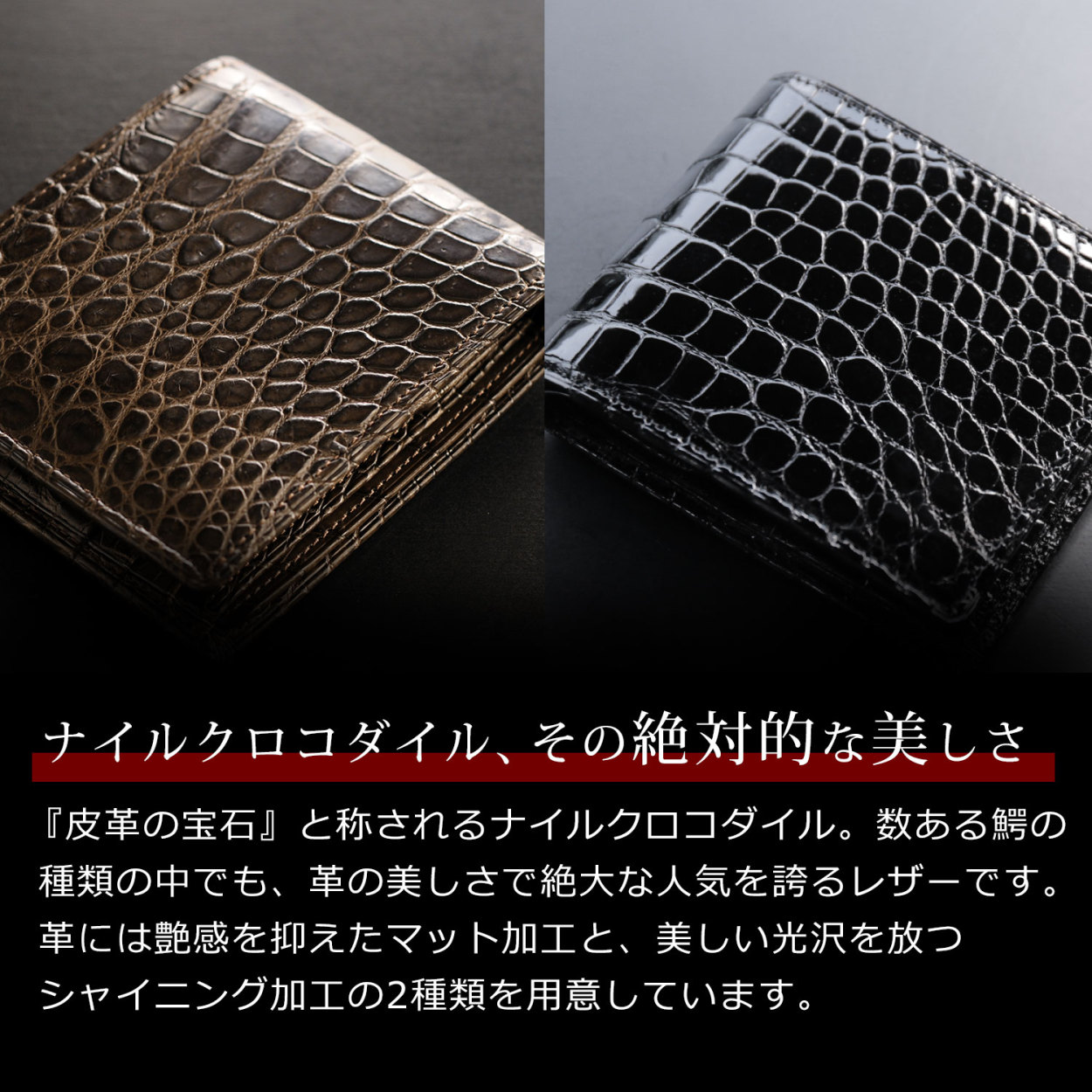 ［10%OFFクーポン］折り財布 クロコダイル 日本製 二つ折り 財布 メンズ 父の日 薄い カード札入れ 小銭入れ無し 一枚革 無双 シャイニング/マット(3359kr)の画像