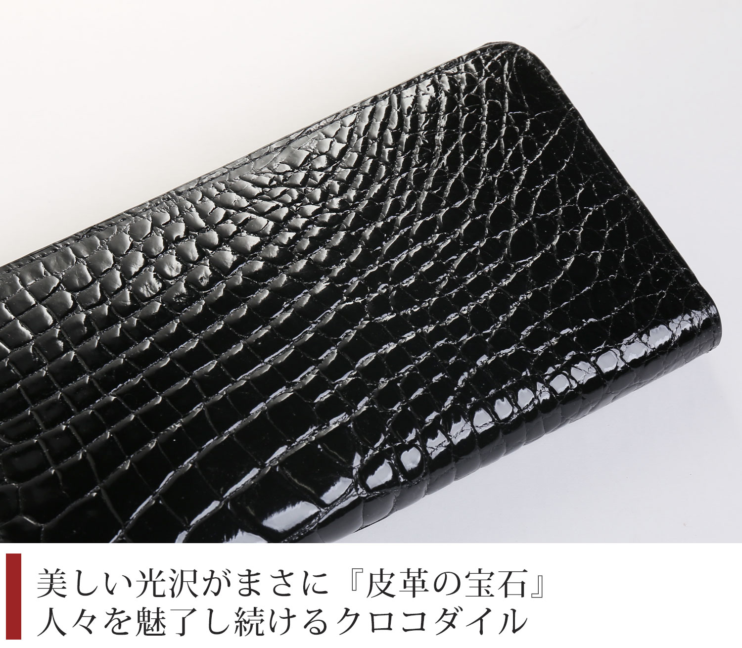 sankyo shokai（三京商会） ＜爆買＞クロコダイル長財布 シャイニング