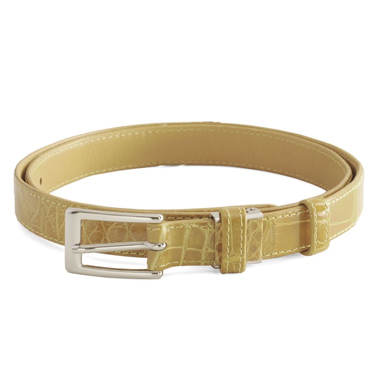 極美品✨キラキラ チビナイル クロコダイル ベルト&ブレスレット 保管袋 セット 極美品✨キラキラ チビナイル クロコダイル ベルト&ブレスレット 保管