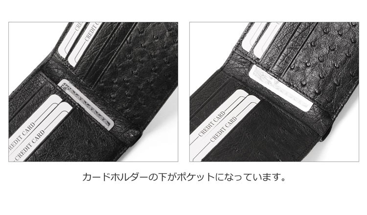 sankyo shokai（三京商会） ［5%OFFクーポン］オーストリッチ 2つ折り