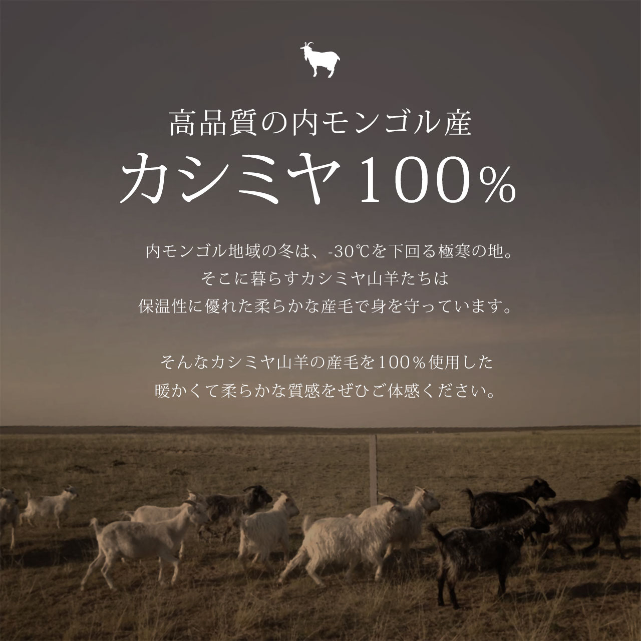 sankyo shokai（三京商会） カシミヤ チェスターコート フォーマル