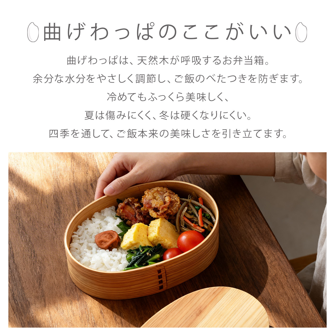 DONO 曲げわっぱ お弁当箱 電子レンジ対応 食洗器対応 ランチボックス