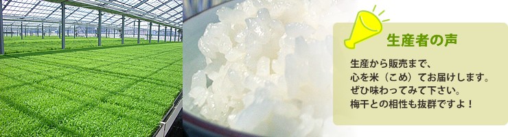 生産者の声：生産から販売まで、心を米（こめ）てお届けします。ぜひ味わってみて下さい。梅干しとの相性も抜群ですよ！