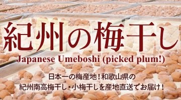 紀州梅干し・みかんのJA紀南 - Yahoo!ショッピング
