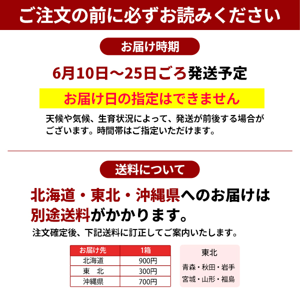 JA紀南 送料無料 ＜遅め発送＞紀州産南高梅 2Lサイズ 約2kg 梅干し作り