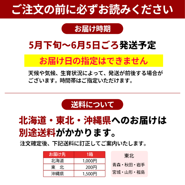 JA紀南 送料無料 ＜早め発送＞紀州産南高梅 2Lサイズ 約10kg 1箱 梅酒