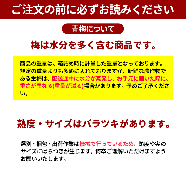 72 るぱんまん様　中熟南高梅　2Lサイズ　10kg JA紀南 送料無料 ＜早め発送＞紀州産南高梅 2Lサイズ 約10kg 1箱 梅酒