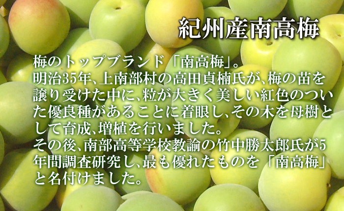 9月15日発送◆青森県産◆ベイラープルーン◆コンパクトBOX満杯