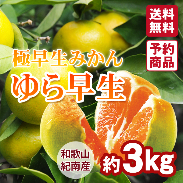 和歌山県産 バレンシアオレンジ 2Lサイズ 26玉 約5kg×1箱 ☆希少