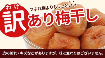 和歌山県紀南産　訳あり露茜5㎏ ✖️4箱　大玉 森本農園｜みかんとオレンジ通販専門店【和歌山県産】