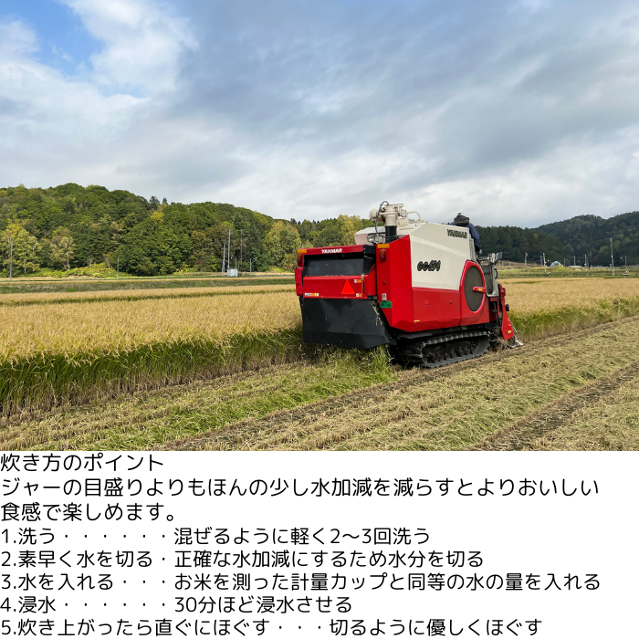 rice-yukisayaka_4.png