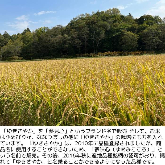 北海道産 ゆきさやか 令和6年産 白米 5kg / 10kg – 丸吉 茅野