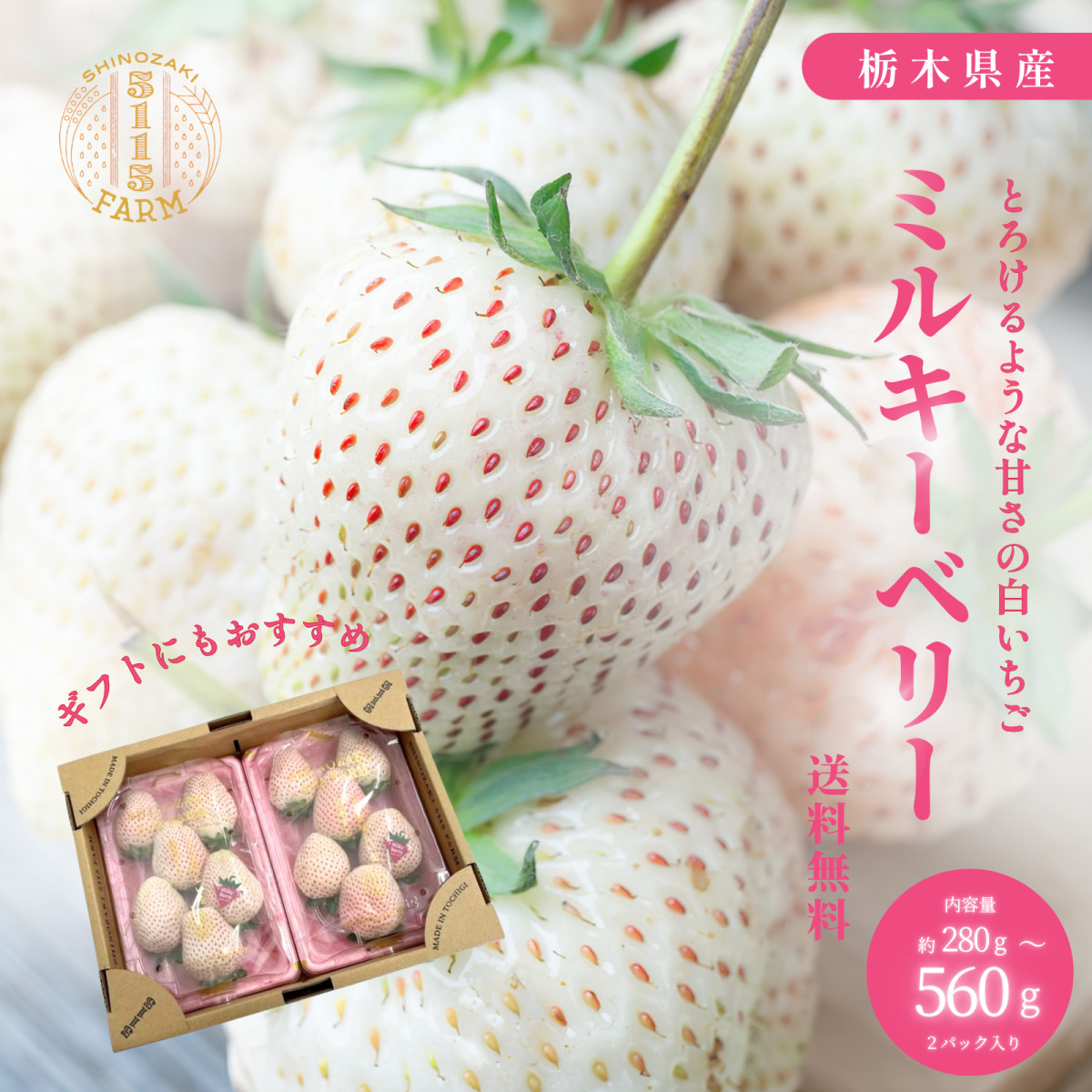 白いちご 栃木県産 ミルキーベリー ギフト 280g×2パック 合計約560g