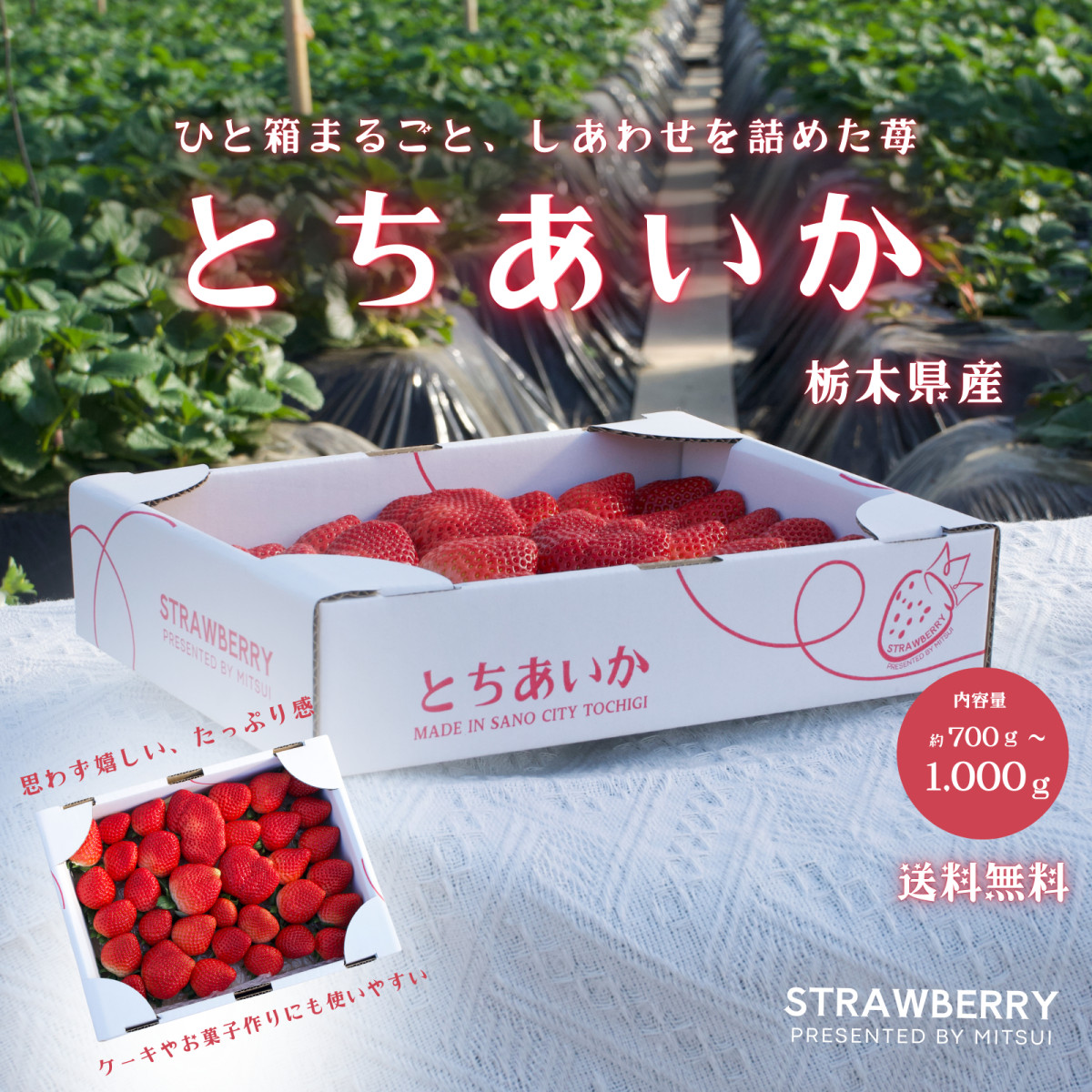 栃木県産 とちあいか たっぷり約900g 苺 いちご イチゴ 家庭用 お洒落